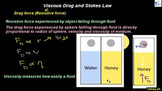 Viscous Drag and Stokes' Law