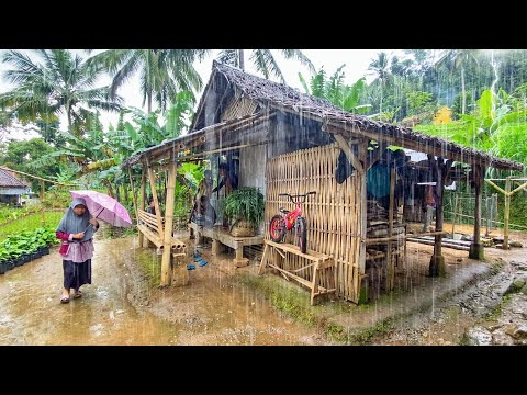 SUASANA SORE YANG TENANG, HUJAN TURUN DI KAMPUNG NAMBAH BETAH, HAWA DINGIN PEDESAAN SUNDA JAWA BARAT