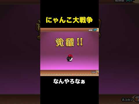 ○意のネコを進化せたときにみんなが思うこと　にゃんこ大戦争
