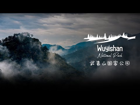China's National Park: A lotus land of rare wildlife