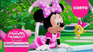🎉 Minnie’s Bow Toons: Hotel Para Mascotas | Corto | Fiesta sorpresa