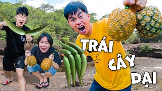 Thái Chuối Thử Thách Tìm & Ăn Tất Cả Trái Cây Dại Trong Rừng - Gặp Nhiều Trái Cây Lạ