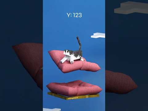 Minecraft Cat Drop Test! Can the Cushion Protect Her? | 3D Simulation