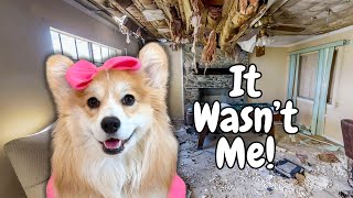 Our home is a disaster!