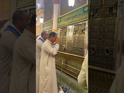 صل اللہ علیہ والہ سلام صل اللہ علیہ والہ سلام🙌🌹#madina #prophet #muhammadﷺ #salam #ytshorts#shorts