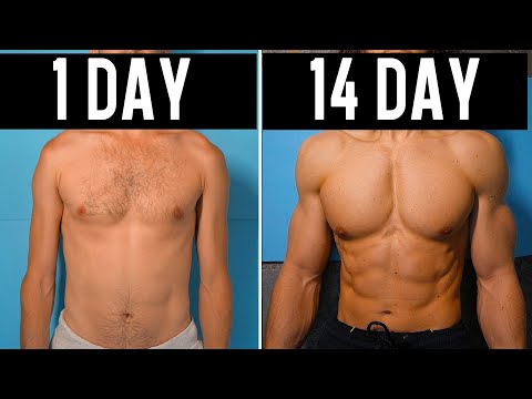 Pump up ABS in 14 days | Home Workout | Strong ABS