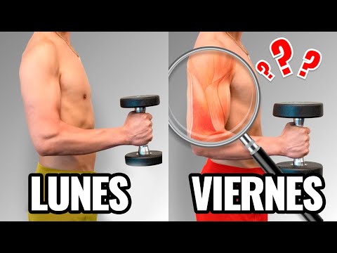 4 métodos PROBADOS para medir tu masa muscular en casa?