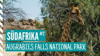 🇿🇦 AUGRABIES FALLS NATIONAL PARK IN SÜDAFRIKA - WASSERFÄLLE, ANTILOPEN UND GIRAFFEN 🇿🇦