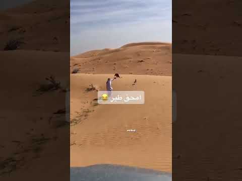 هههههههه #اكسبلور #الزوايده #لايك #تصويري #العظماء
