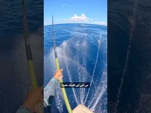 تکنیک ۴۰۰ ساله ژاپنی برای صید ماهی در چند ثانیه!