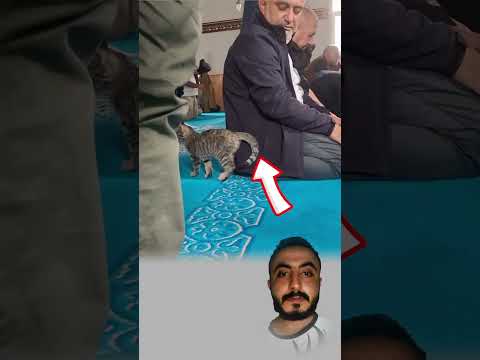 حـين يـذوق القلب لذّة الخشوع في السجود، تـفيض الرحمة منه بلا حساب لكل مـخلوقات الله. #youtubeshorts