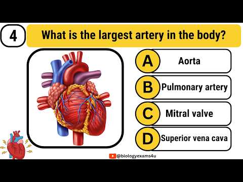 Quiz on Heart|| Interactive MCQ on Human Heart|| 20 Heart Questions, Answers and Explanation