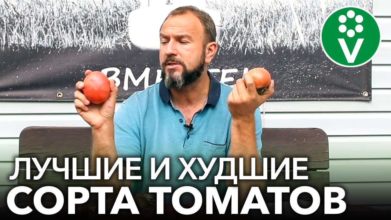 Худший сорт томата 2020 г. И еще 8 сортов томатов, которые действительно меня поразили!