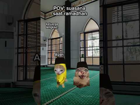 w keluarga #kucing #kucingsedih #kucinglucu