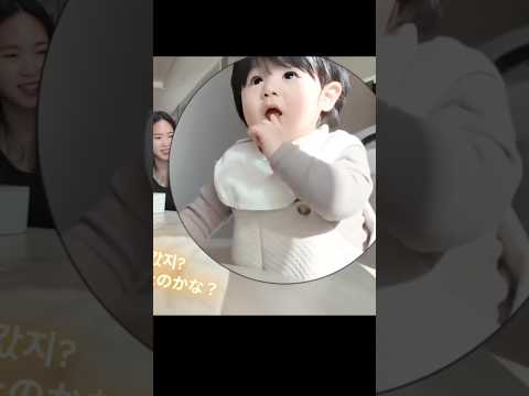 언니가 하루에게 치즈를 줬고, 그 직후 놀라운 일이 일어났어요.🤤🫶🏻🎉😭