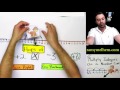 Multiplying Integers on a Number Line