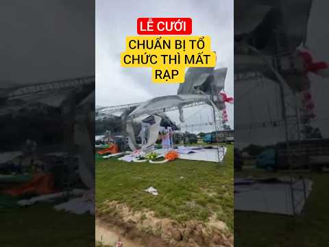 THƯƠNG CÔ DÂU CHÚ RỂ #shortvideo