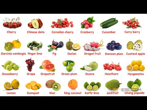 Fruit Names in English