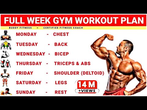 Full Body Gym Workout Schedule Jobs Ecityworks