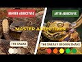 The Impact of Adjectives in Writing