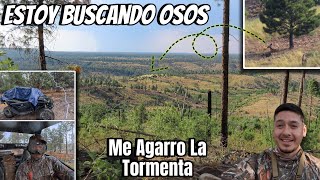 Me Llego Una Tormenta Buscando Osos!