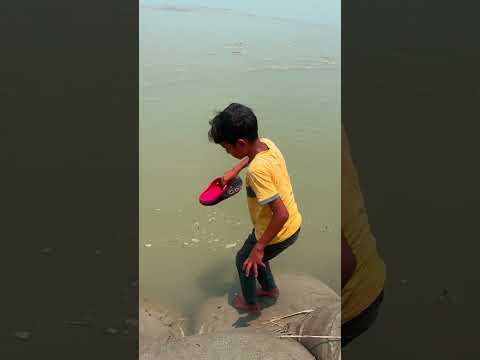 kya Dimag hai#shortvideos #shortsfeed #shortsviral