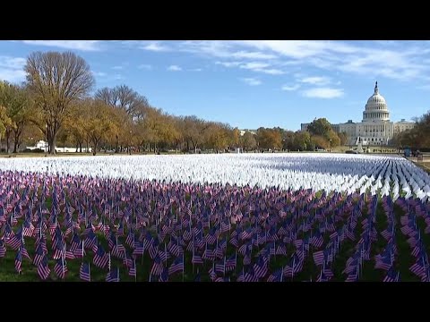 YouTube video thumbnail: Thousands of Flags Placed on National Mall to Raise Lung Cancer Awareness