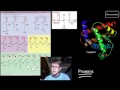 Biological Macromolecules and Their Functions