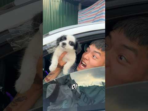 Thử Thách Cắt Đứt Tất Cả Bằng Cánh Cửa Ô Tô