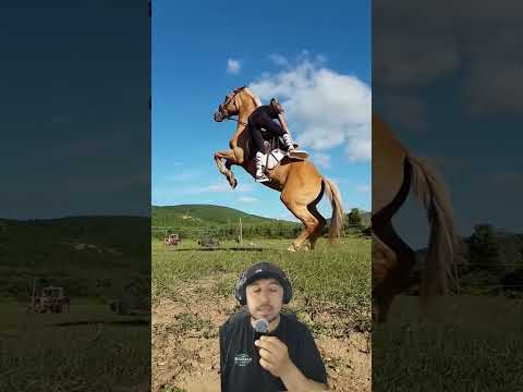 Como impresiónar a todo el mundo #horse