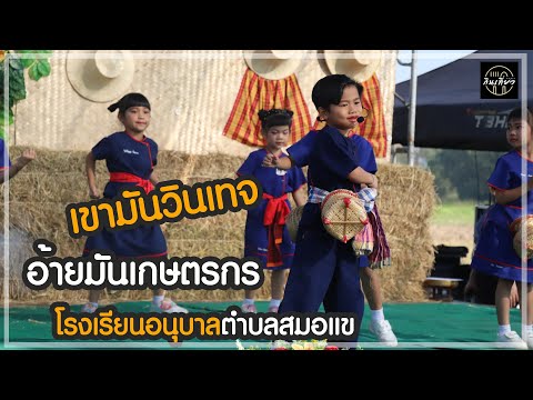 เขามันวินเทจอ้ายมันเกษตรกรโรงเรียนอนุบาลองค์การบริหารส่วนตำบ อบต.สมอแข เขามันวินเทจอ้ายมันเกษตรกรโรงเรียนอนุบาลองค์การบริหารส่วนตำบ