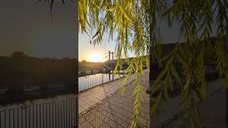 Der letzte schöne Tag in #Würzburg?