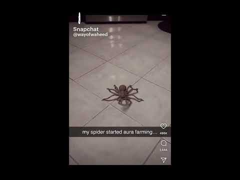Spider aura farming #funny #viral #edit #fypシ゚viral #memes #like #spider #aura #aurafarming #watch