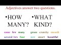 Exploring Adjectives: Types and Quantities