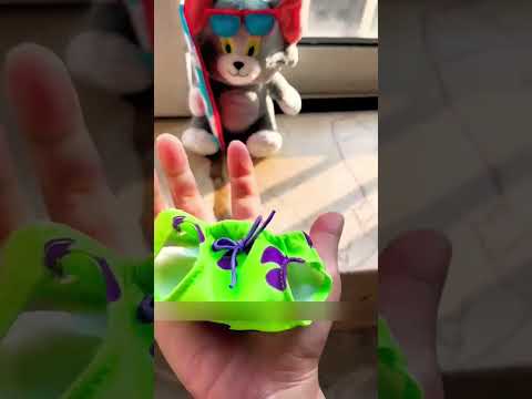 🐱 ¡El gato travieso robó los pantalones!