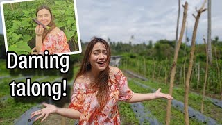 MGA TANIM SA FARM (new update)