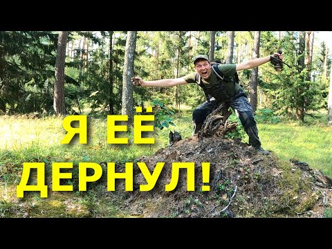 Почему? ОНИ НИКОМУ НЕ НУЖНЫ!!! Я не буду их драть! А вот ЕЁ я ДЁРНУЛ!