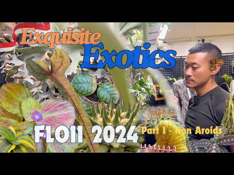 TRENDING 🔥🪴 Exotic Plants Of Indonesia 🇮🇩 FLOII Plant Show | Part 1 - Non Aroids