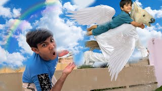My Brother Horse flying ✈️😱| Pumpii Asman Per Chala Gaya 😰| 