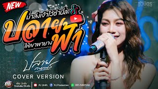 ปลายฟ้า + บ่โสดบ่อนุญาตให้จีบ + ฮักอ้ายพ่าย (เด้งดึ๋ง) -  ปลาย กนกพร | จ.ชัยภูมิ
