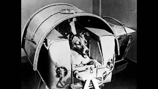 beba meu sangue e coma minha carne