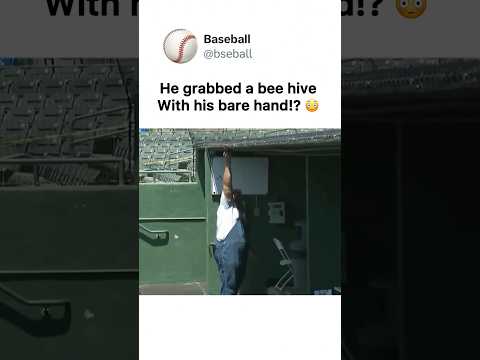 He Has NO Fear!!! 😳🤯 #baseball