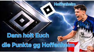 DER HSV 🟦⬜️⬛️ Was geht gegen Hoffenheim  ? 