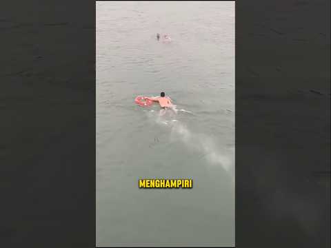 Penyelamatan Musim Dingin yang Heroik❗️