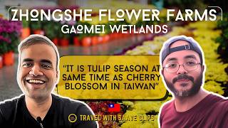 Tulip Season Meets Cherry Blossoms in Taiwan! | Zhongshe Flower Farm & Gaomei Wetlands
