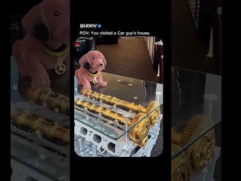 POV: You visited car guy's house.. #cardetailing