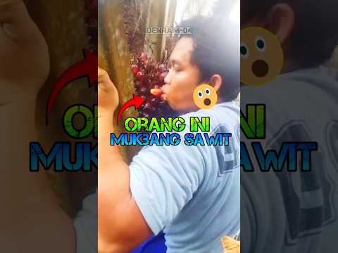 ORANG INI MUKBANG SAWIT #shorts #denram04 #viral #viralvideo