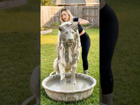Turn a Lion Into Beautiful DIY Garden Decor 🦁🌹🌿