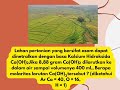 Kuis Kimia: Netralisasi Lahan Asam