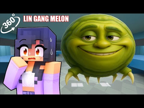 Aphmau Surviving Against LIN GANG MELON in Minecraft - Gameplay 360°